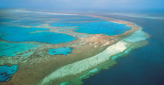 great coral reef.jpg